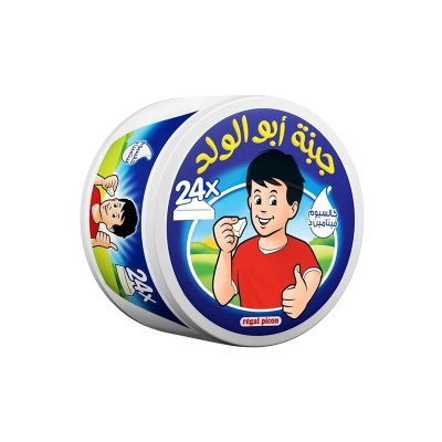 REGAL PICON Cheese Portion 24 Portions 360 Gram REGAL PICON Cheese Portion 24 Portions 360 Gram